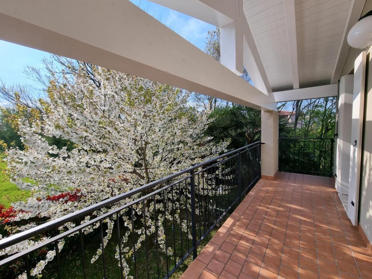 Villa Venezia Mira Εξωτερικό φωτογραφία